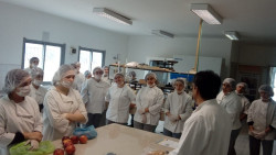 Técnico en Tecnología de los Alimentos