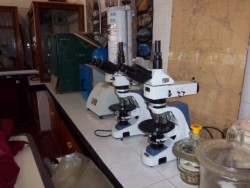 Laboratorio de  Minería