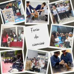 Feria de ciencias
