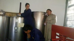 Alumnos de 5º trabajando en los tanques de vinificar.