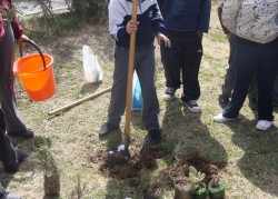 Trabajo en huertas en función del bachiller agro y ambiente