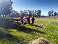 Cuidando las canchas de la escuela