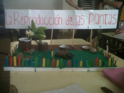 Proyecto...Nuestra Huerta!!!