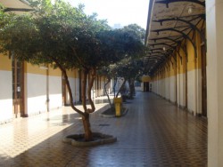 Patio de la Escuela