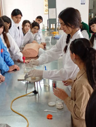 Práctica en laboratorio