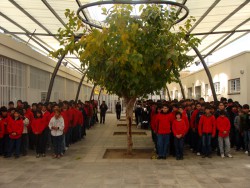 ALUMNOS FORMADOS EN EL PATIO DE LA ESCUELA