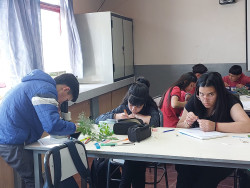 Clases de Cs. Naturales 1er año 2024