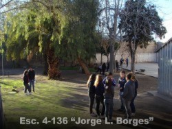 Patio de atrás 