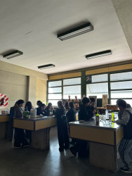 Actividades prácticas en el laboratorio