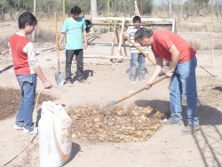 Preparando la siembra