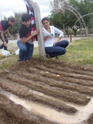 Plantaciones en el patio d ela escuela