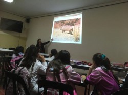 Articulación con Primaria 2019