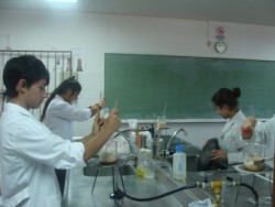 Elaborando productos en el Laboratorio de la escuela