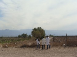 Alumnos en el fondo de la Escuela. Miren que paisaje, rodeados de viñas y fincas!!!!