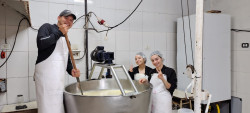 Práctica en Industria Láctea