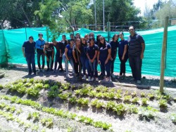 Proyecto de Huerta Orgánica. Articulación con el INTA 