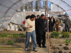 El MEP agropecuario, mostrando las simbras en el invernáculo al Sr. Vicegobernador 