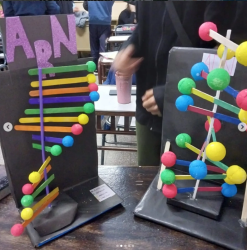 Aprendiendo ciencia a través de la construcción