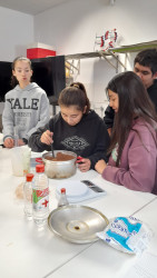 Actividades en Laboratorio