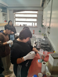 Proyecto - Elaboración de Jabones