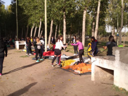 CAMPAMENTO 2019