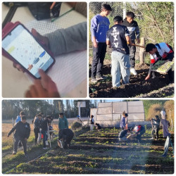 Trabajo en la huerta (plantación) y trabajo con simuladores de átomos