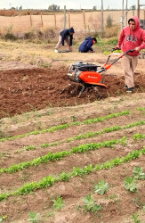 Entornos de campo