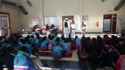 articulación primaria
