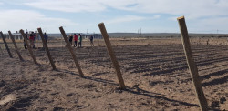 CONSTRUCCIÓN DE VIÑEDOS