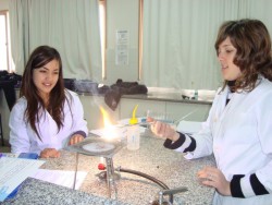 Alumnos trabajando en laboratorio, modalidad ciencias naturales