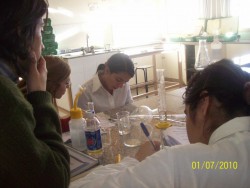 Alumnos trabajando en laboratorio