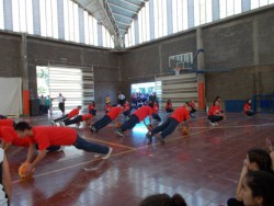 Muestra de Educación Física