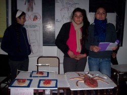 Feria de ciencias.
